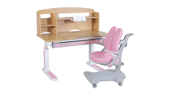 소년 & 소녀를 위한 현대 디자인 아이 가구 아이들 학문 의자